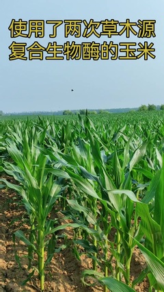 Al酶Al美技術推廣服務 引領美容科技新未來