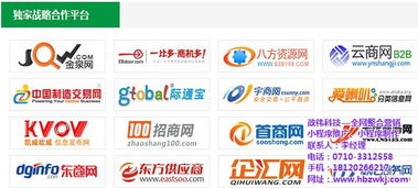 湖北政偉科技攜手易站通，打造優質網絡營銷推廣服務